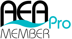One-Year Pro Membership